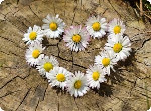 Love Attachment